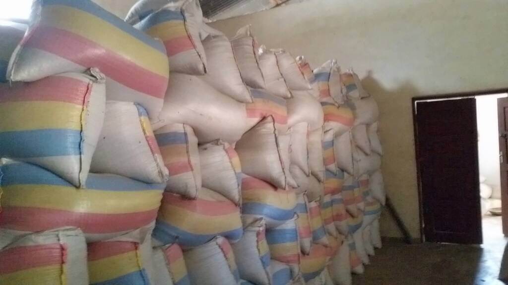 project kindy donations buy huge amounts of corn and rice for kindergarten lunches in rural Malawi